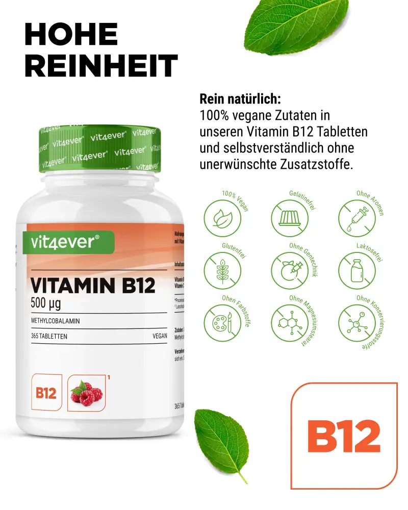 Vit4ever Raspberry-flavoured vitamin B12 – 365 tablets – international label