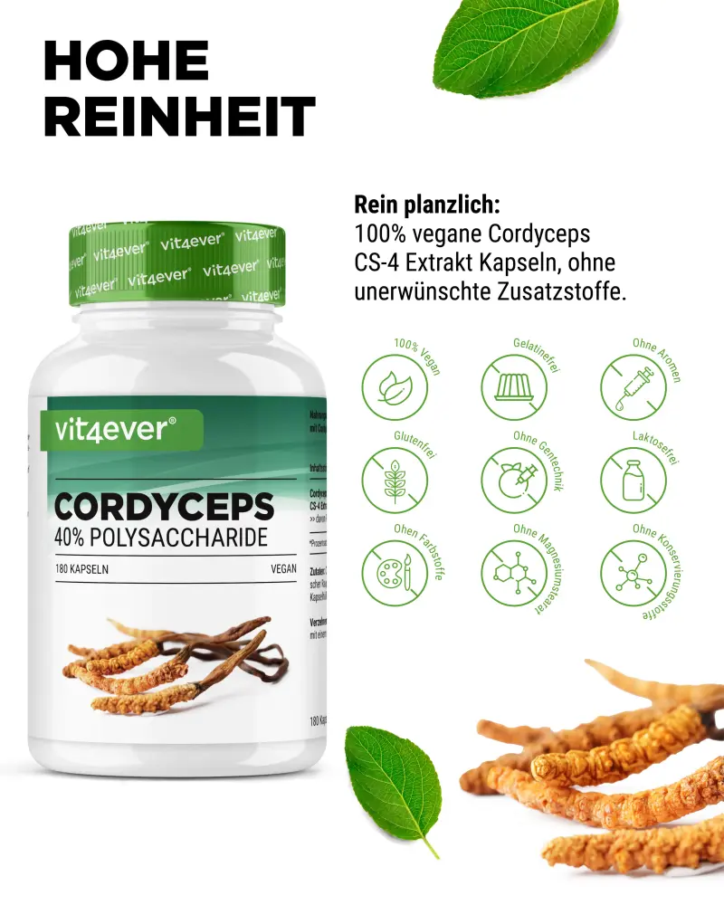 Vit4ever Cordyceps Intenso Extract – 180 capsules – internationaal etiket