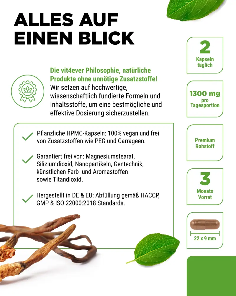 Vit4ever Cordyceps Intenso Extract – 180 capsules – zuiverheid & eigenschappen