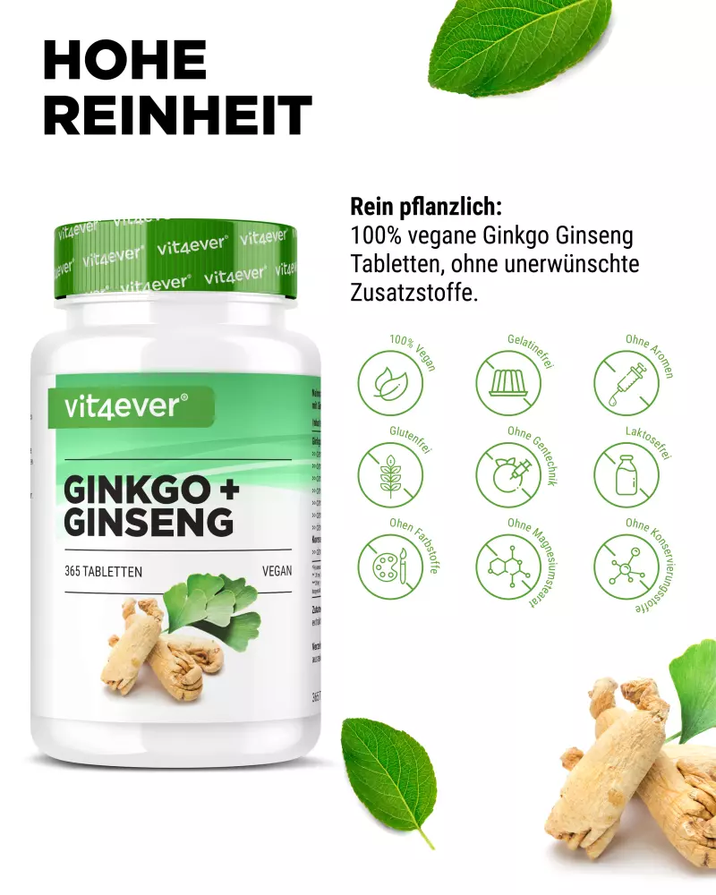Vit4ever Ginkgo + Ginseng – 365 compresse – etichetta internazionale