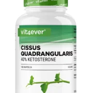 Vit4ever Cissus Quadrangularis Extrakt – 180 Kapseln – Vorderseite