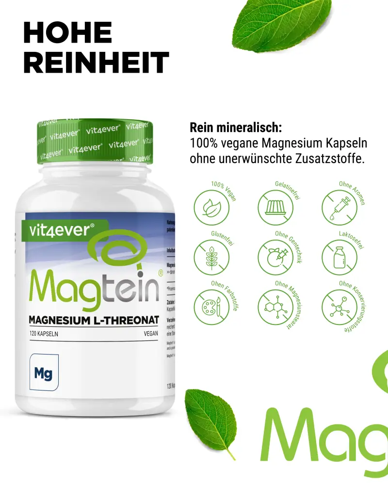 Vit4ever Magtein® Magnesium L-threonaat – 120 capsules – internationaal etiket